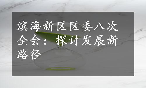 滨海新区区委八次全会：探讨发展新路径