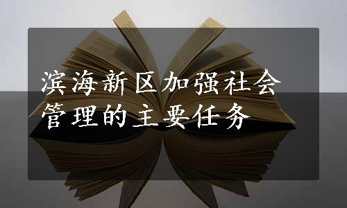 滨海新区加强社会管理的主要任务