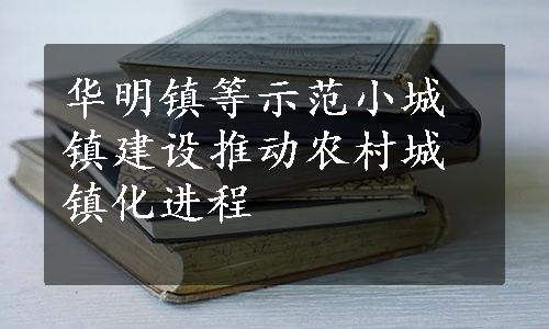 华明镇等示范小城镇建设推动农村城镇化进程