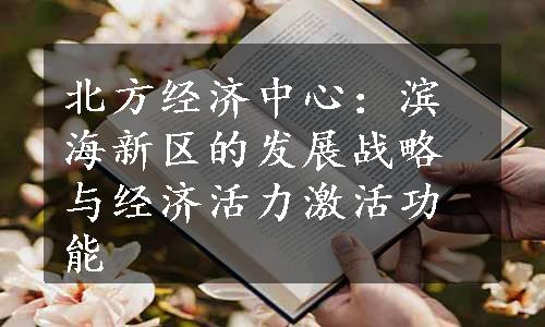 北方经济中心：滨海新区的发展战略与经济活力激活功能