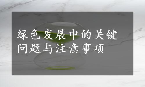 绿色发展中的关键问题与注意事项