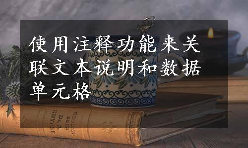 使用注释功能来关联文本说明和数据单元格