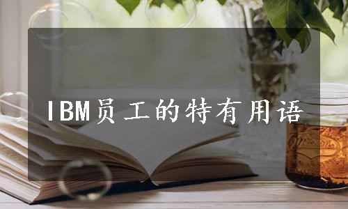 IBM员工的特有用语