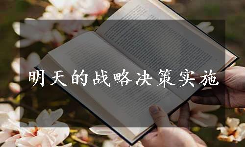 明天的战略决策实施