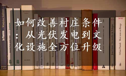 如何改善村庄条件：从光伏发电到文化设施全方位升级