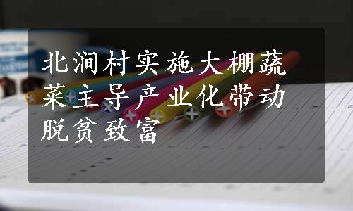 北涧村实施大棚蔬菜主导产业化带动脱贫致富