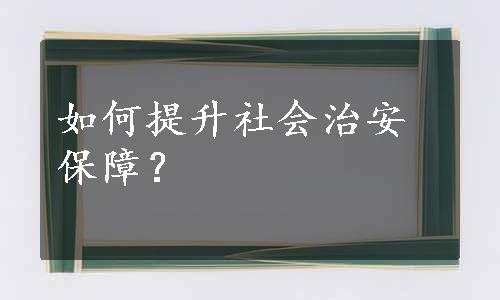 如何提升社会治安保障？