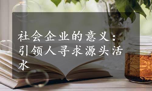 社会企业的意义：引领人寻求源头活水