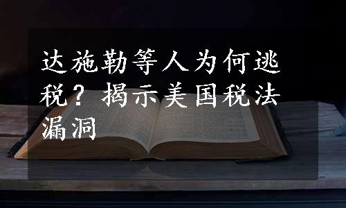 达施勒等人为何逃税？揭示美国税法漏洞