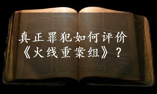 真正罪犯如何评价《火线重案组》？