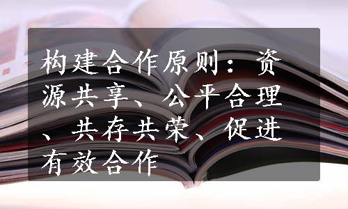 构建合作原则：资源共享、公平合理、共存共荣、促进有效合作