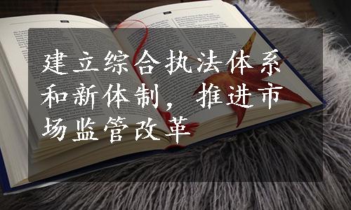 建立综合执法体系和新体制，推进市场监管改革