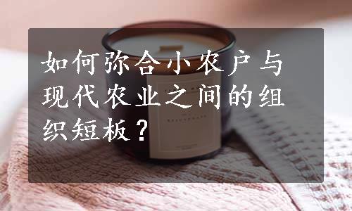 如何弥合小农户与现代农业之间的组织短板？