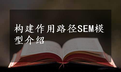 构建作用路径SEM模型介绍