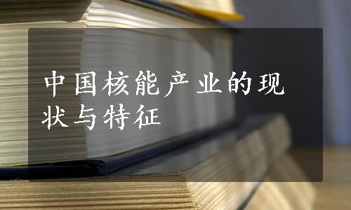 中国核能产业的现状与特征