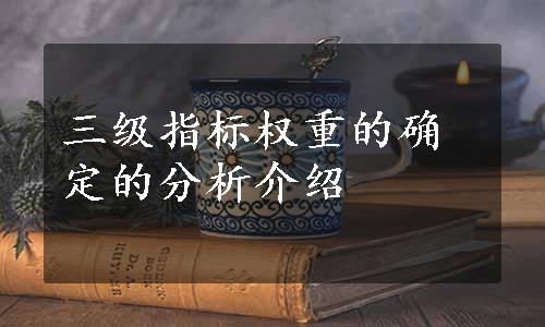 三级指标权重的确定的分析介绍