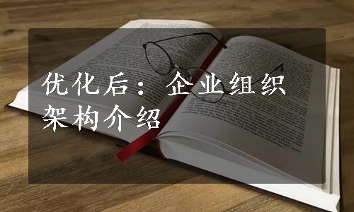 优化后：企业组织架构介绍