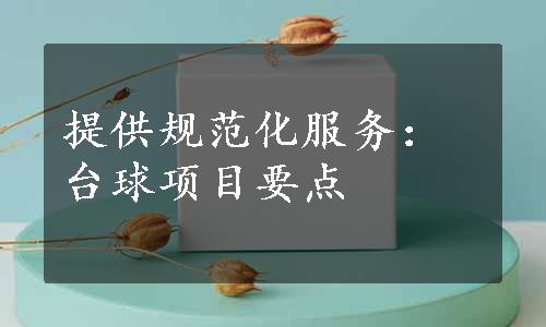 提供规范化服务：台球项目要点