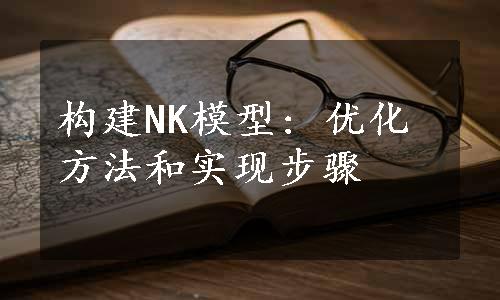 构建NK模型: 优化方法和实现步骤