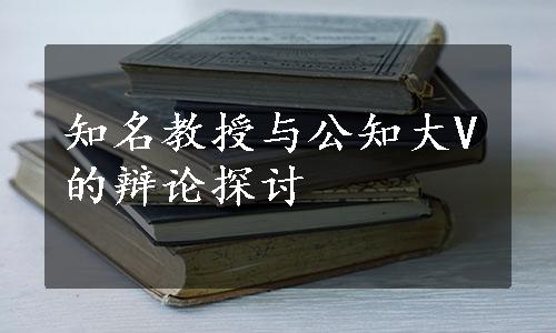 知名教授与公知大V的辩论探讨