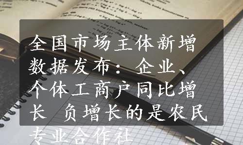 全国市场主体新增数据发布：企业、个体工商户同比增长 负增长的是农民专业合作社