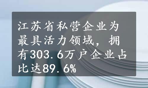 江苏省私营企业为最具活力领域，拥有303.6万户企业占比达89.6%