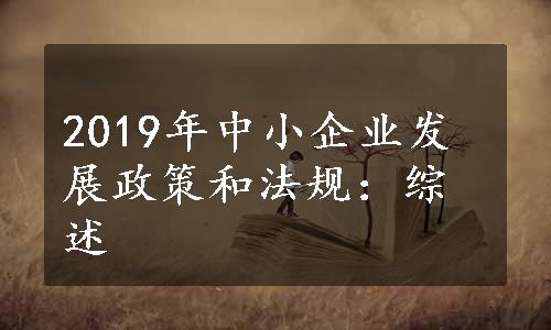 2019年中小企业发展政策和法规：综述