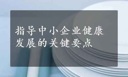 指导中小企业健康发展的关键要点