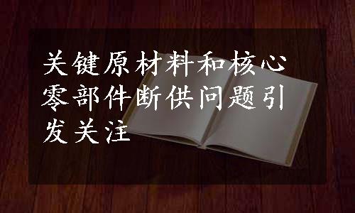 关键原材料和核心零部件断供问题引发关注