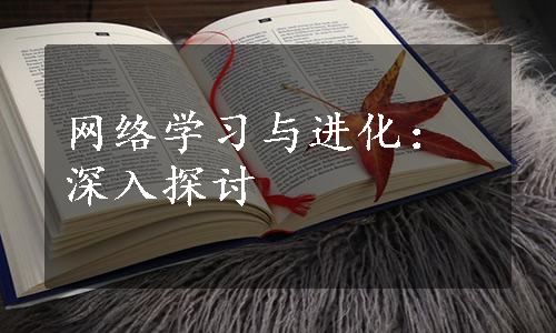 网络学习与进化：深入探讨