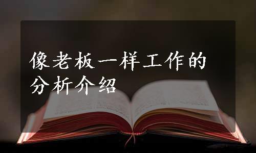 像老板一样工作的分析介绍