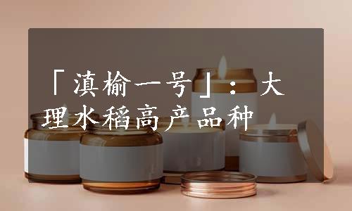 「滇榆一号」：大理水稻高产品种