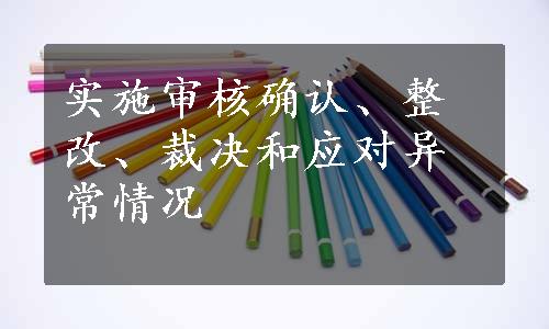 实施审核确认、整改、裁决和应对异常情况