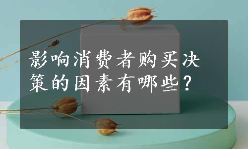 影响消费者购买决策的因素有哪些？