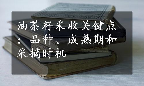 油茶籽采收关键点：品种、成熟期和采摘时机