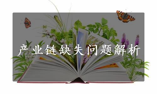 产业链缺失问题解析