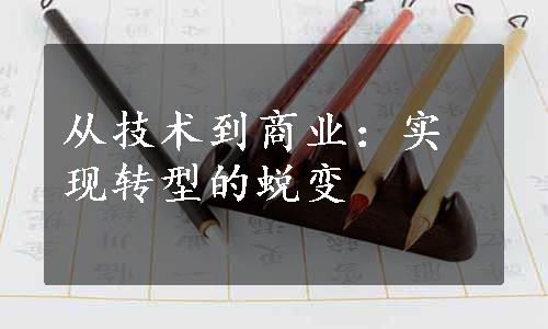 从技术到商业：实现转型的蜕变