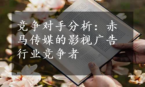 竞争对手分析：赤马传媒的影视广告行业竞争者