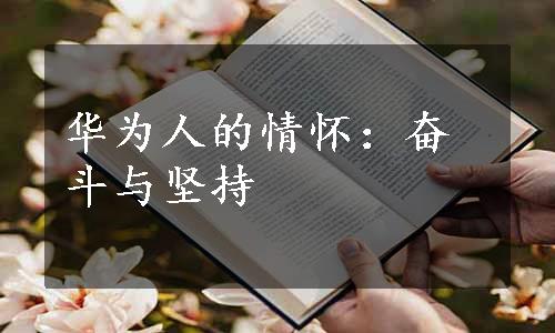 华为人的情怀：奋斗与坚持