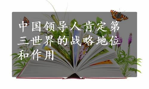 中国领导人肯定第三世界的战略地位和作用