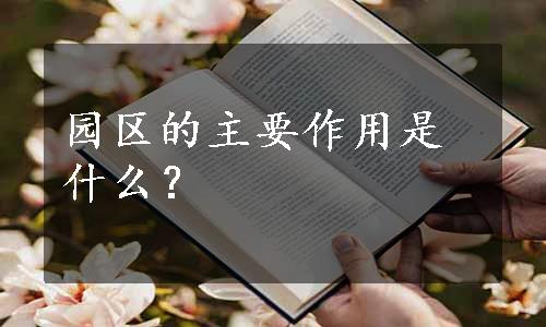 园区的主要作用是什么？