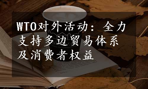 WTO对外活动：全力支持多边贸易体系及消费者权益