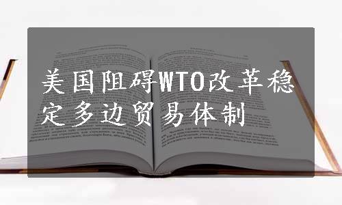 美国阻碍WTO改革稳定多边贸易体制