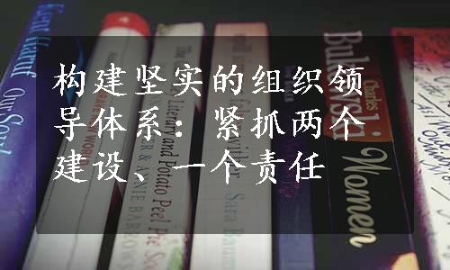 构建坚实的组织领导体系：紧抓两个建设、一个责任