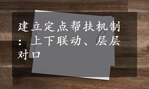 建立定点帮扶机制：上下联动、层层对口