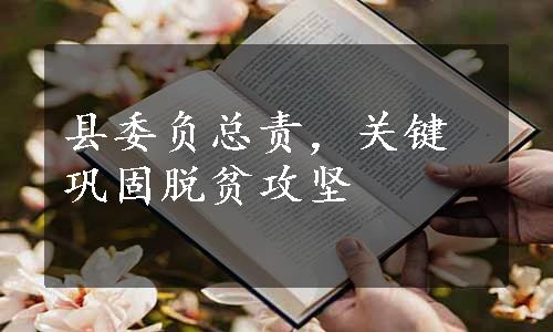 县委负总责，关键巩固脱贫攻坚