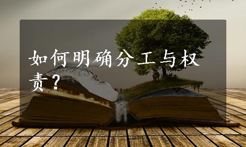 如何明确分工与权责？