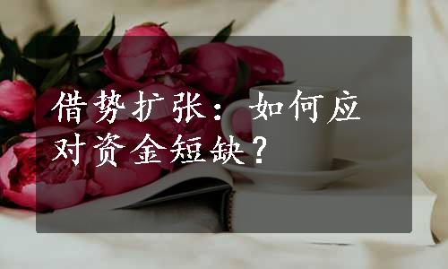 借势扩张：如何应对资金短缺？