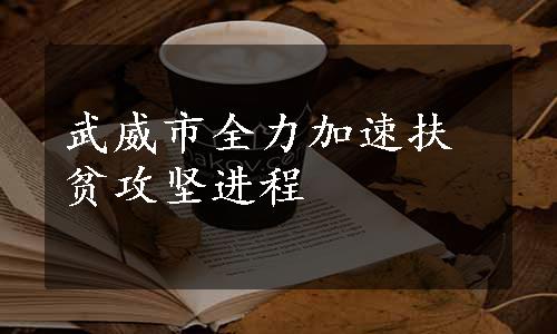 武威市全力加速扶贫攻坚进程