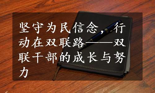 坚守为民信念，行动在双联路——双联干部的成长与努力